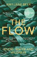 Book Cover for The Flow by Amy-Jane Beer