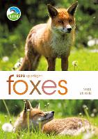 Book Cover for RSPB Spotlight: Foxes by Mike Unwin