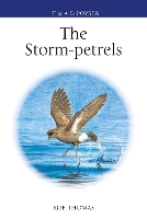 Book Cover for The Storm-petrels by Rob Thomas