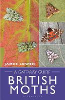 Book Cover for British Moths by James Lowen