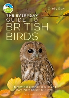 Book Cover for The Everyday Guide to British Birds by Charlie Elder