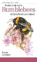 Book Cover for Pocket Guide to the Bumblebees of Great Britain and Ireland by Richard Lewington