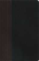 Book Cover for NIV Study Bible Brown/Tan Duo-Tone Personal Size by New International Version