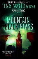 Book Cover for Mountain of Black Glass by Tad Williams