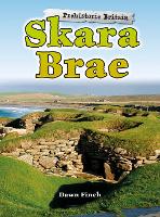 Book Cover for Skara Brae by Dawn Finch