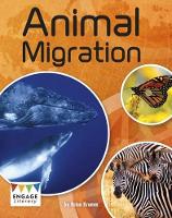 Book Cover for Animal Migration by Brian Krumm