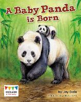 Book Cover for A Baby Panda is Born by Jay Dale