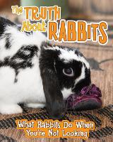 Book Cover for The Truth about Rabbits by Mary Colson