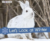 Book Cover for Let's Look at Winter by Sarah L. Schuette