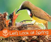 Book Cover for Let's Look at Spring by Sarah L. Schuette