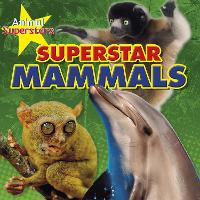 Book Cover for Mammal Superstars by Louise Spilsbury