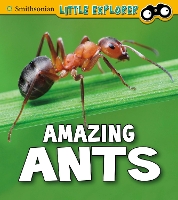 Book Cover for Amazing Ants by Megan Cooley Peterson