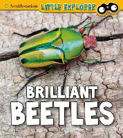 Book Cover for Brilliant Beetles by Melissa Higgins