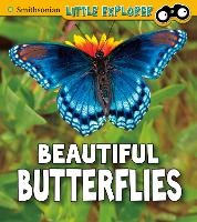 Book Cover for Beautiful Butterflies by Melissa Higgins