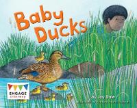 Book Cover for Baby Ducks by Jay Dale