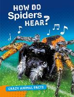 Book Cover for How Do Spiders Hear? by Nancy Furstinger