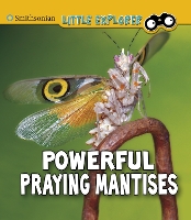 Book Cover for Powerful Praying Mantises by Melissa Higgins