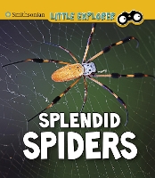 Book Cover for Splendid Spiders by Melissa Higgins