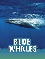 Book Cover for Blue Whales by Mari C. Schuh