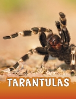 Book Cover for Tarantulas by Jaclyn Jaycox