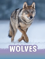 Book Cover for Wolves by Mari C. Schuh