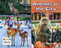 Book Cover for Animals in the City by Kelly Gaffney