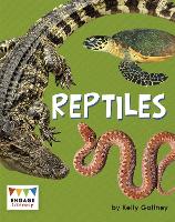 Book Cover for Reptiles by Kelly Gaffney