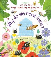 Book Cover for Why Do We Need Bees? by Katie Daynes