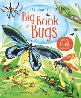 Book Cover for Big Book of Bugs by Emily Bone