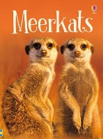 Book Cover for Meerkats by James Maclaine