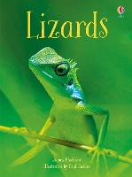 Book Cover for Lizards by James Maclaine