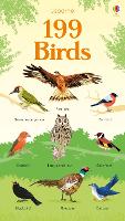 Book Cover for Usborne 199 Birds by Mar Ferrero, Nikki Dyson, Hannah Watson