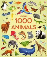 Book Cover for 1000 Animals by Jessica Greenwell