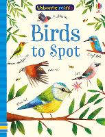 Book Cover for Birds to Spot by Kirsteen Robson, Sam Smith