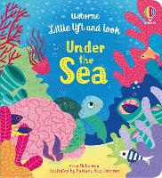 Book Cover for Little Lift and Look Under the Sea by Anna Milbourne