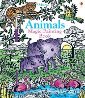 Book Cover for Animals Magic Painting Book by Sam Taplin