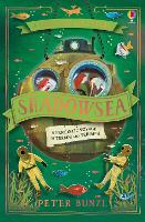 Book Cover for Shadowsea by Peter Bunzl