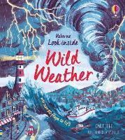 Book Cover for Wild Weather by Emily Bone