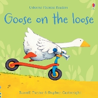 Book Cover for Goose on the loose by Russell Punter