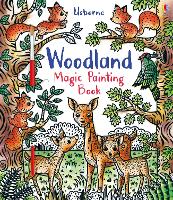 Book Cover for Woodland Magic Painting Book by Brenda Cole