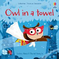 Book Cover for Owl in a Towel by Lesley Sims