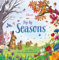 Book Cover for Pop-Up Seasons by Anna Milbourne, Jenny Hilborne