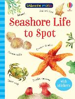 Book Cover for Seashore Life to Spot by Sam Smith