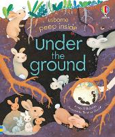 Book Cover for Under the Ground by Anna Milbourne