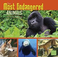 Book Cover for The Most Endangered Animals in the World by Tammy Gagne