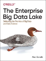 Book Cover for The Enterprise Big Data Lake by Alex Gorelik