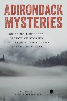 Book Cover for Adirondack Mysteries by Dennis Webster