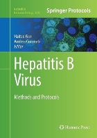 Book Cover for Hepatitis B Virus by Haitao Guo