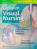 Book Cover for Lippincott Visual Nursing by Lippincott  Williams & Wilkins