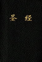 Book Cover for CUV Holy Bible Chinese Text Edition by Tyndale